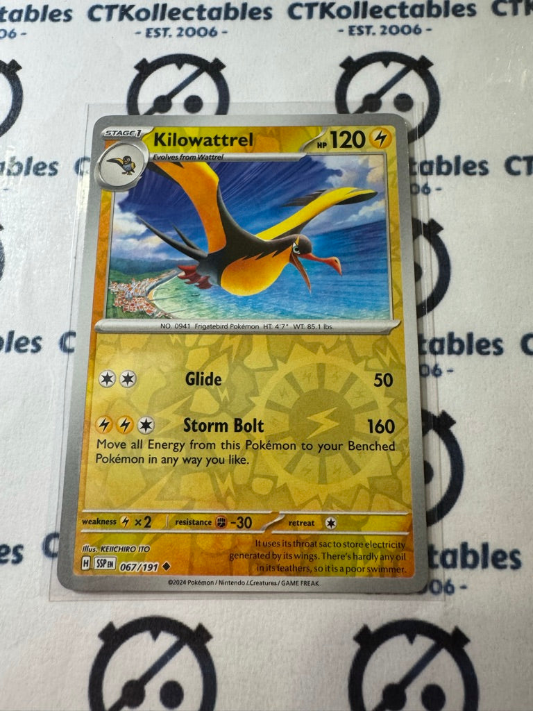 Kilowattrel Reverse Holo #067/191 Surging Sparks Pokémon TCG 2024