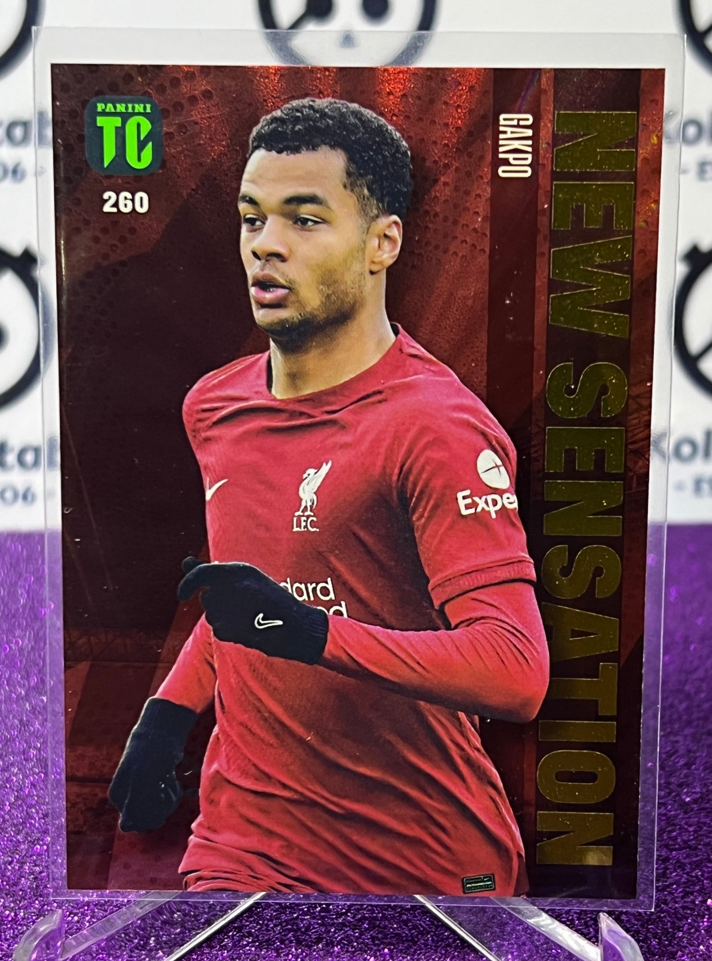2023 PANINI TOP CLASS CODY GAKPO # 260 NEW SENSATION FOOTBALL SOCCER CARD