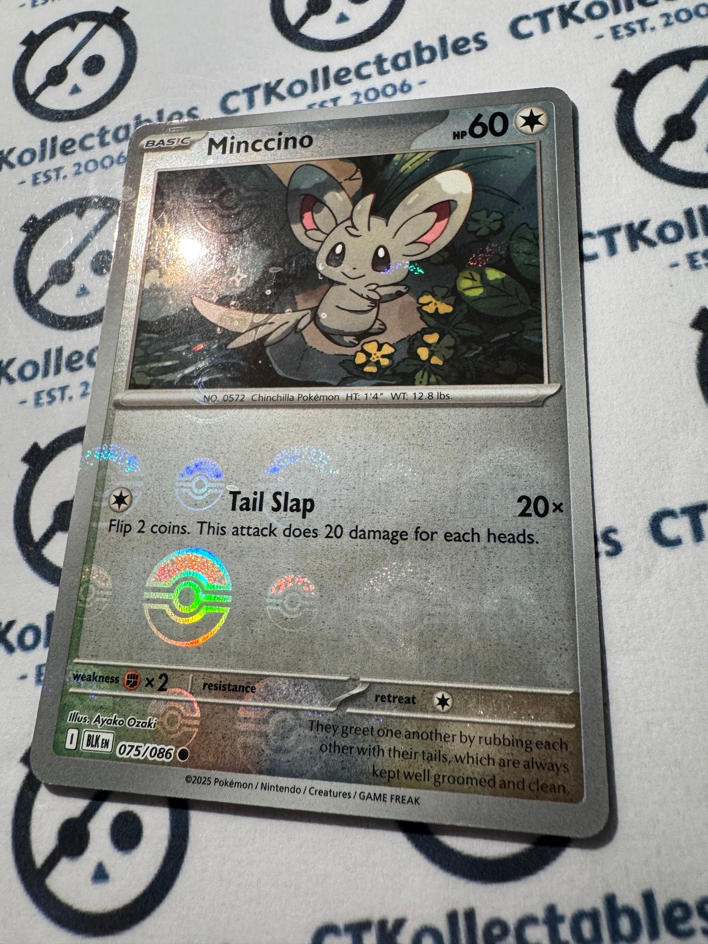 Minccino Poke Ball Reverse Holo Scarlet & Violet Black Bolt #075/086 Pokemon