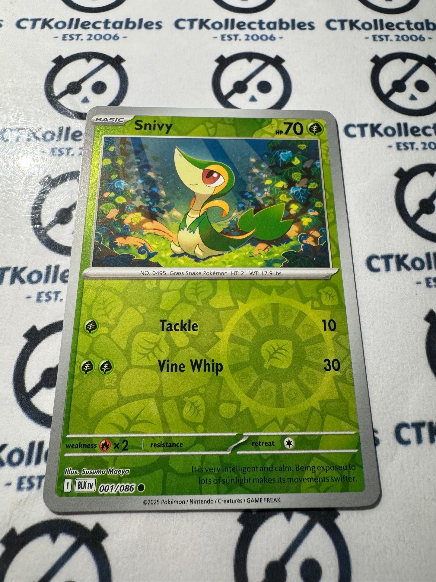 Snivy Reverse Holo Scarlet & Violet Black Bolt #001/086 Pokemon