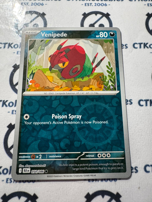 Venipede Reverse Holo Scarlet & Violet Black Bolt #054/086 Pokemon
