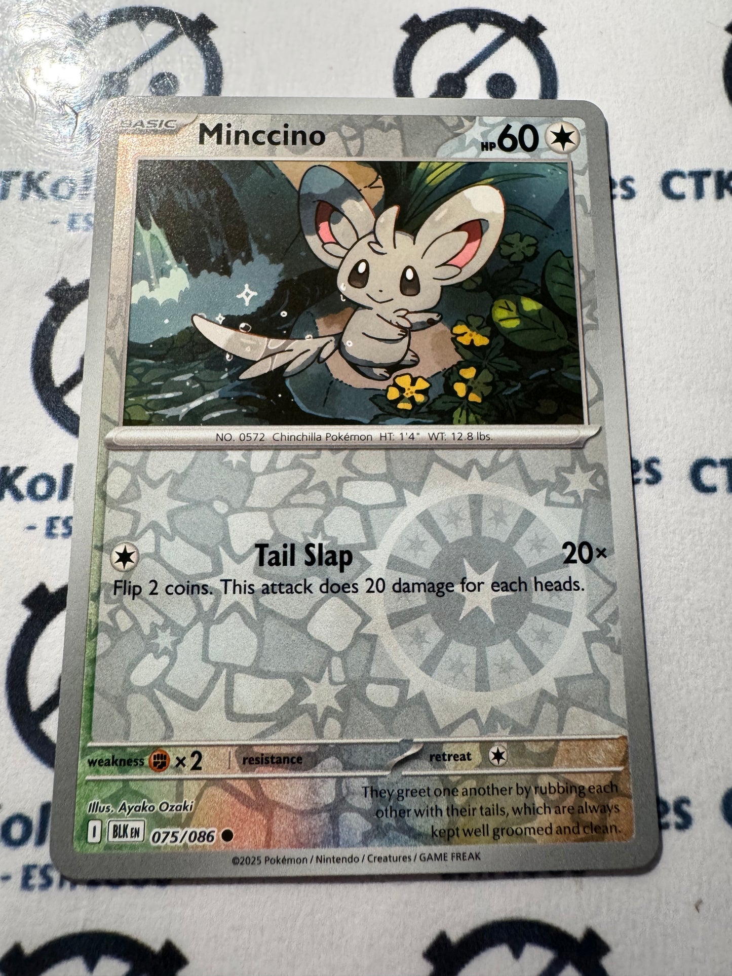Minccino Reverse Holo Scarlet & Violet Black Bolt #075/086 Pokemon