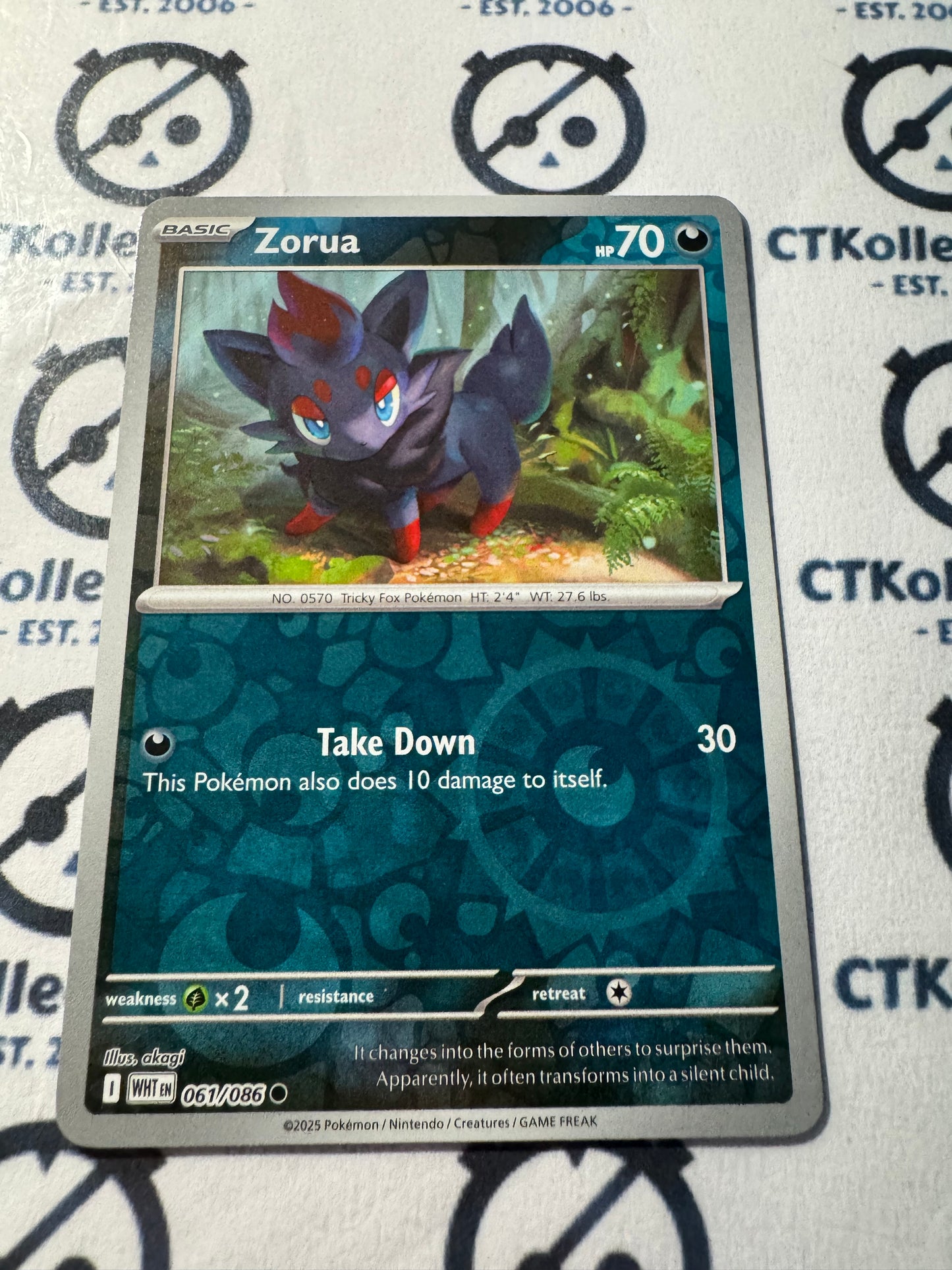 Zorua Reverse Holo Scarlet & Violet White Flare #061/086 Pokemon