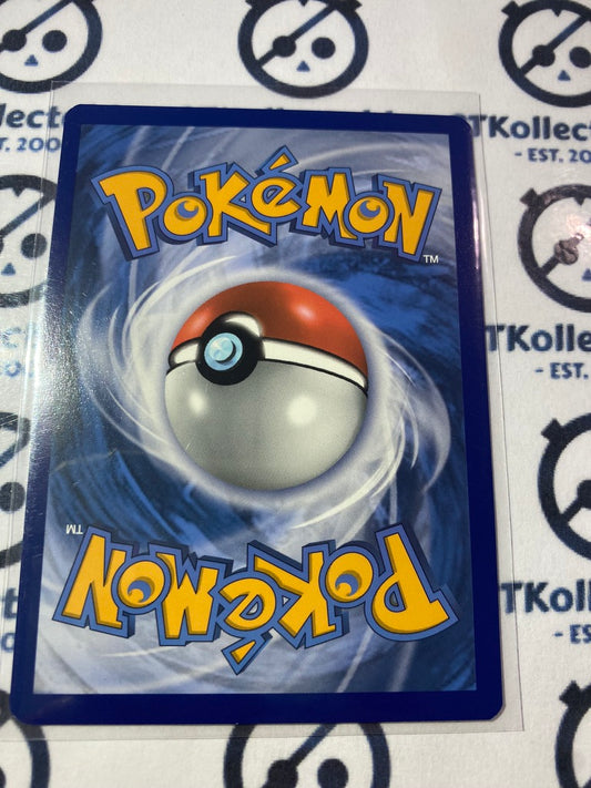 Flannery Trainer Rainbow Hyper Secret Rare #215/198 Pokémon Card Chilling Reign