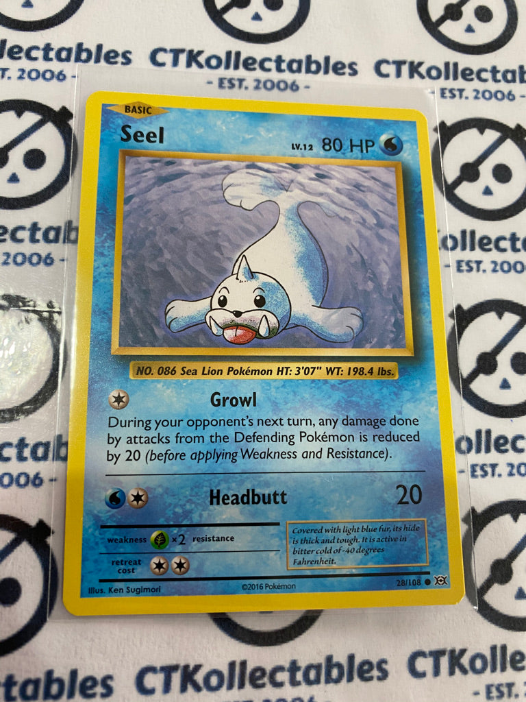 Seel #28/108 Base Pokmon Card XY EVOLUTIONS CTKollectables Seel #28/108 Base Pokmon Card XY EVOLUTIONS CTKollectables