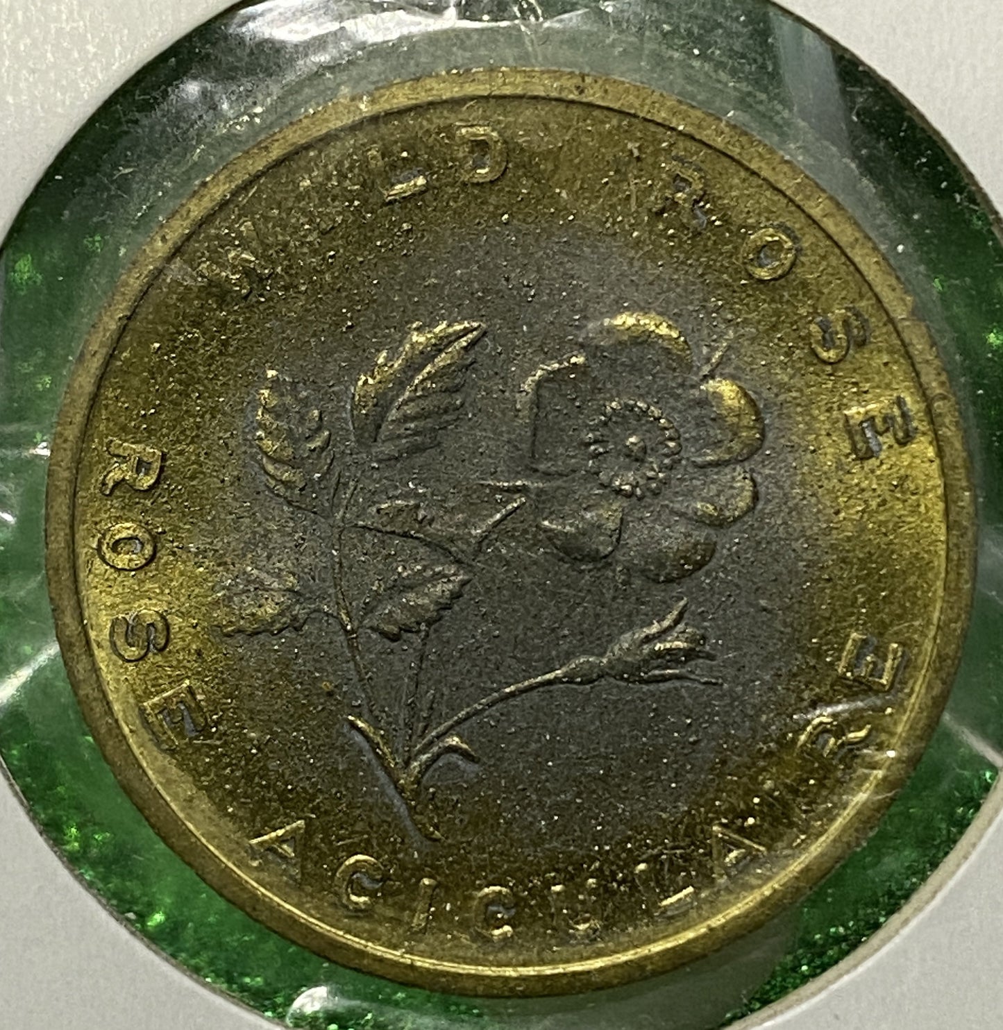 CANADIAN TOKEN COIN ALBERTA WILD ROSE 1971 (VF)