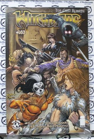 WITCHBLADE # 163 VARIANT NM COMIC BOOK IMAGE / TOP COW SEXY HORROR 2013