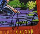 VENGEANCE OF VAMPIRELLA # 14 PART 1 OF 6 VAMPI UNIVERSE SIGNED BUZZ HARRIS COMICS 1995