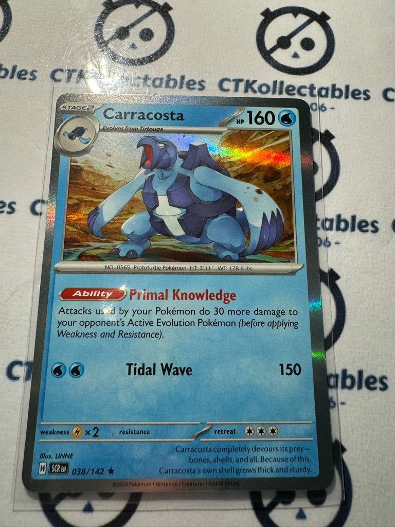 Carracosta Holo Rare #038/142 Stellar Crown Scarlet & Violet Pokemon