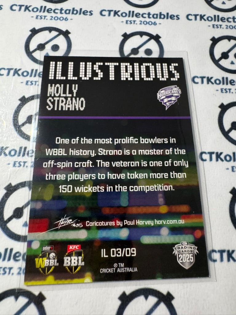 2025/26 CA Cricket Traders Molly Strano Illustrious IL03/09