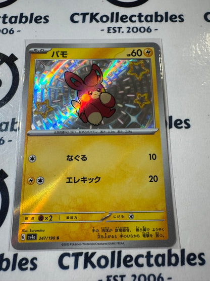 Shiny Pawmi S 276/190 Pokemon Shiny Treasure EX Japanese card SV4A