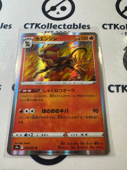 Pyroar Holo 016/067 Pokemon Battle Region Japanese card s9a