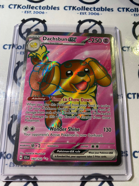 Daschsbun EX Full Art #160/142 Stellar Crown Scarlet & Violet Pokemon