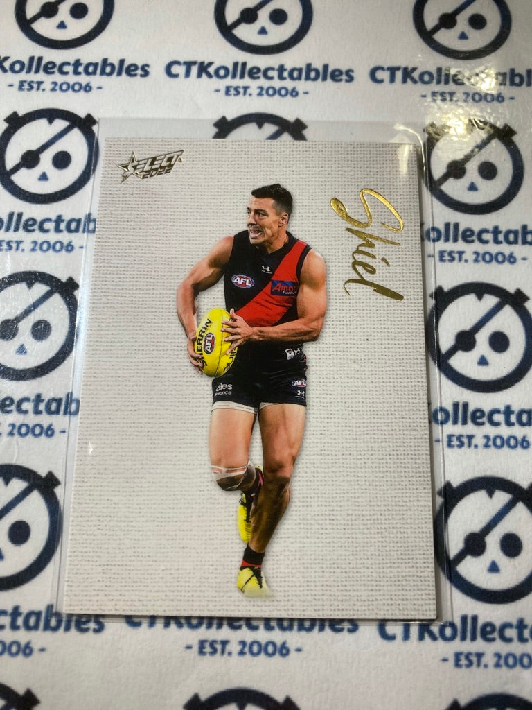 2022 AFL Footy Stars Blank Canvas #BC54 Will Day #102/250 Bombers