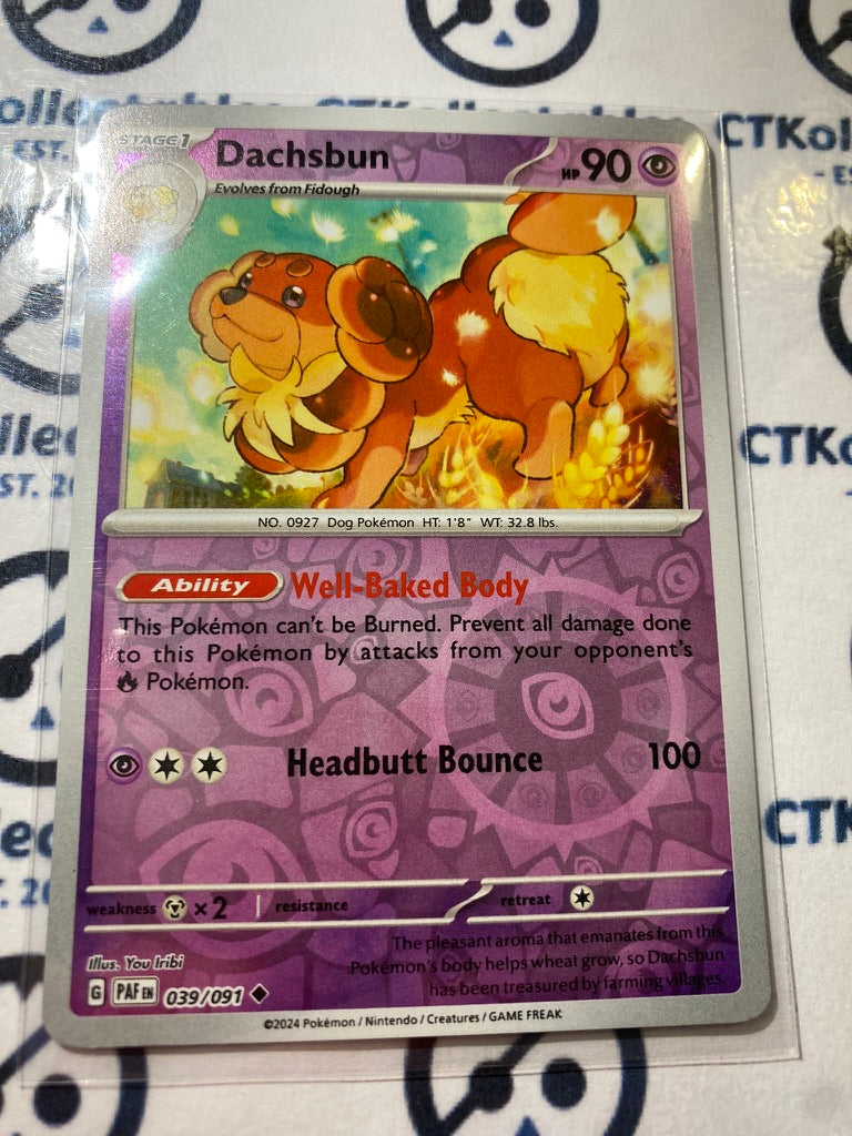 Dachsbun reverse holo #039/091 2024 Paldean Fates Pokemon Card