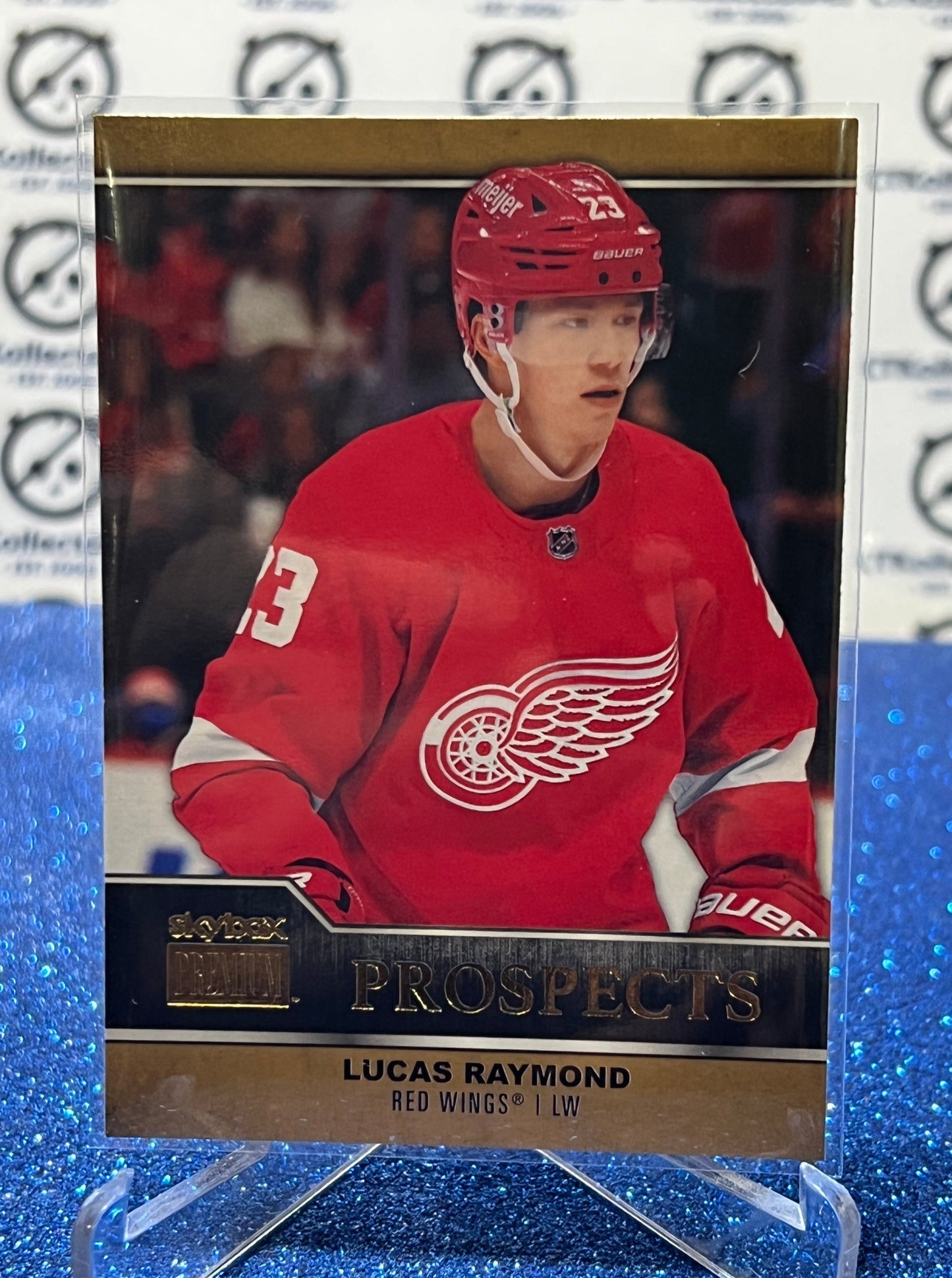 2021-22 SKYBOX METAL LUCAS RAYMOND # PP-5 PROSPECTS DETROIT RED WINGS NHL HOCKEY CARD (