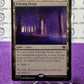 2023 MAGIC THE GATHERING THE LOST CAVERNS OF IXALAN ECHOING DEEPS # R 0271 NON-FOIL LAND-CAVE CARD