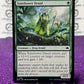 2024 MAGIC THE GATHERING BLOOMBURROW SUNSHOWER DRUID # C 0195 NON-FOIL CREATURE - FROG DRUID CARD