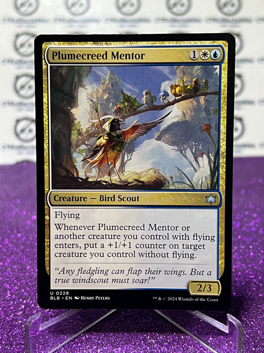 2024 MAGIC THE GATHERING BLOOMBURROW PLUMECREED MENTOR # U 0228 NON-FOIL CREATURE - BIRD SCOUT CARD