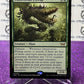 2024 MAGIC THE GATHERING DUSKMOURN HOUSE OF HORROR OMNIVOROUS FLYTRAP # R 0192 NON-FOIL  CREATURE-PLANT CARD