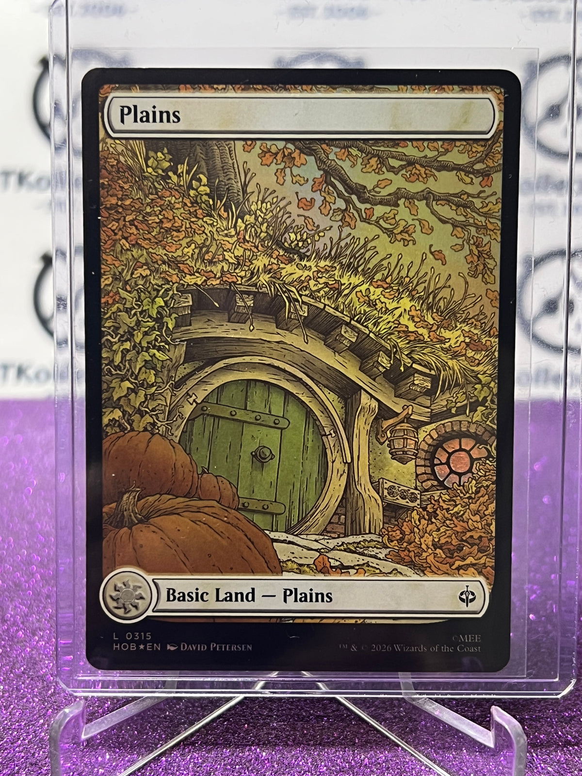 2026 MAGIC THE GATHERING THE HOBBIT PLAINS  # L 0315 AUTUMN  FOIL TCG CARD