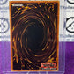 YU-GI-OH! SWORDS OF REVEALING LIGHT # SYE-039 COMMON 1ST EDITION CARD