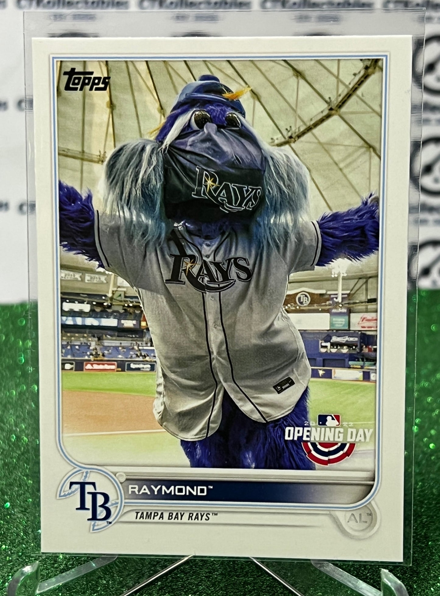 2022 TOPPS OPENING DAY RAYMOND # M-21 MASCOT TAMPA BAY RAYS BASEBALL