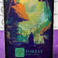 2023 MAGIC THE GATHERING THE LOST CAVERNS OF IXALAN - FOREST # L 0291 FOIL CARD