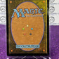 2023 MAGIC THE GATHERING THE LOST CAVERNS OF IXALAN R 0063 MALCOLM, ALLURING SCOUNDREL CARD