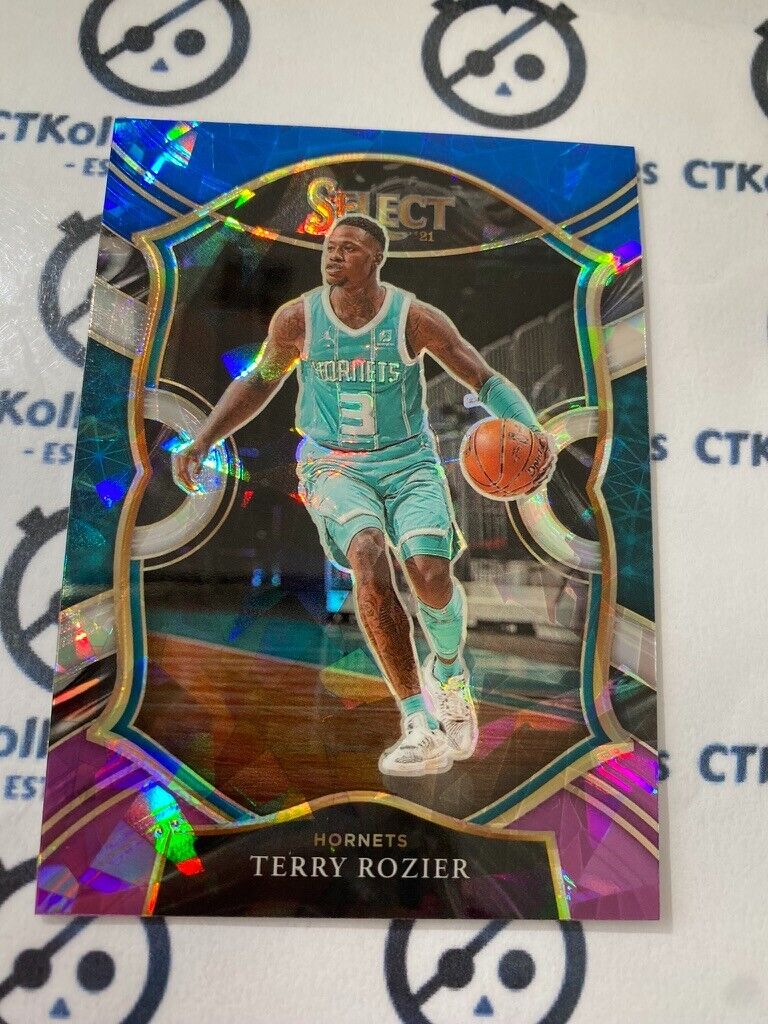 2020-21 Panini NBA Select Terry Rozier Blue Purple Ice Prizm #4 Hornets