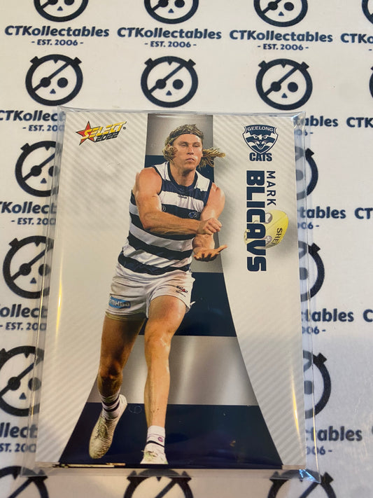 2022 AFL Footy Stars Geelong Cats 10 Card team Set