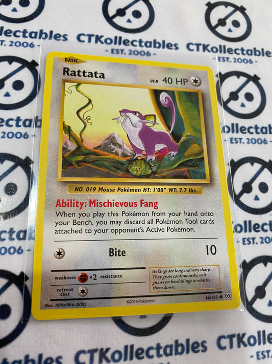 Rattata #66/108 Base Pokémon Card XY EVOLUTIONS