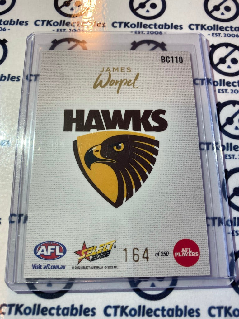 2022 AFL Footy Stars Blank Canvas #BC110 James Worpel #164/250