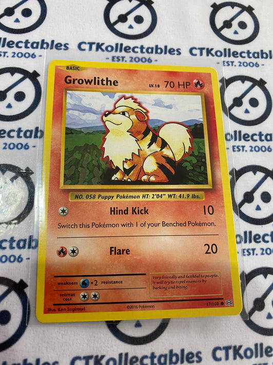 Growlithe #17/108 Base Pokémon Card XY EVOLUTIONS