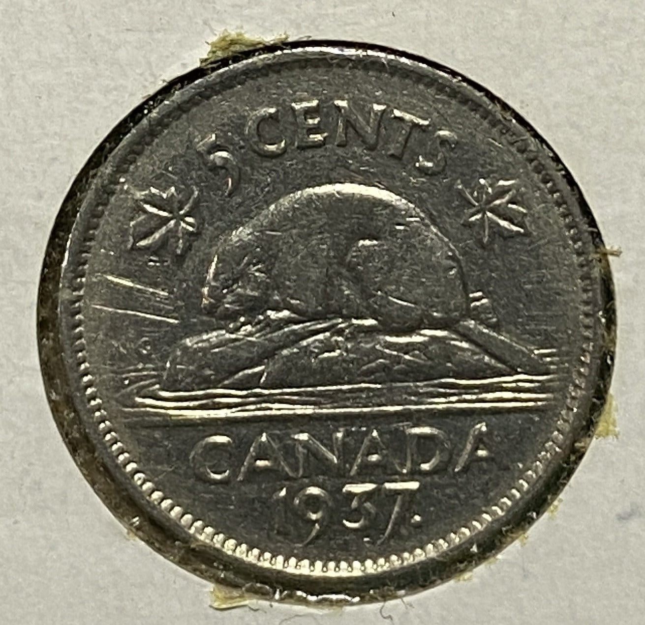 Five Cents - Can – CTKollectables