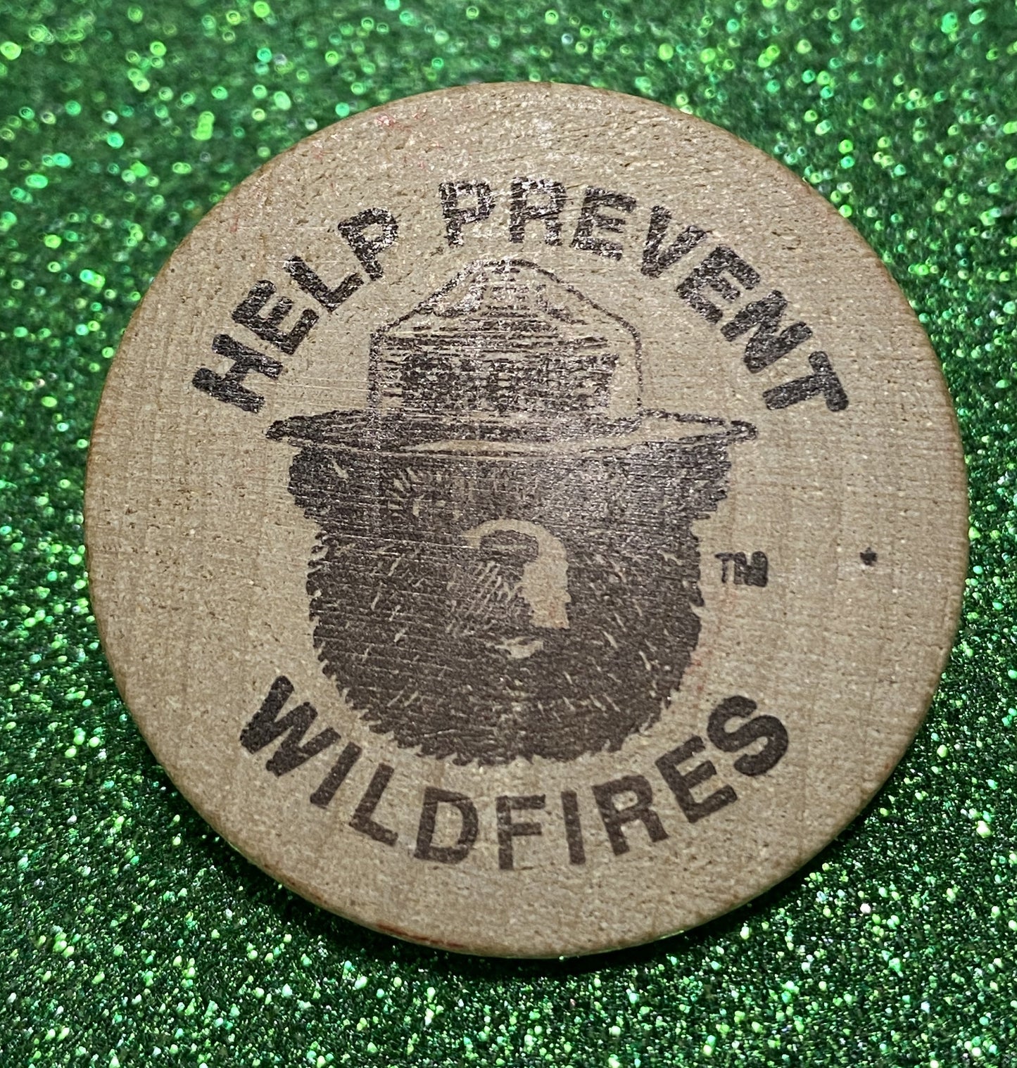 HELP PREVENT WILDFIRES SMOKEY THE BEAR SASKATCHEWAN TOKEN SOUVENIR  CANADIAN COIN VF/UNC