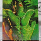 HULK # 1 MARVEL MASTERPIECES  NM  SUPER HEROES NON-SPORT TRADING CARD 1993