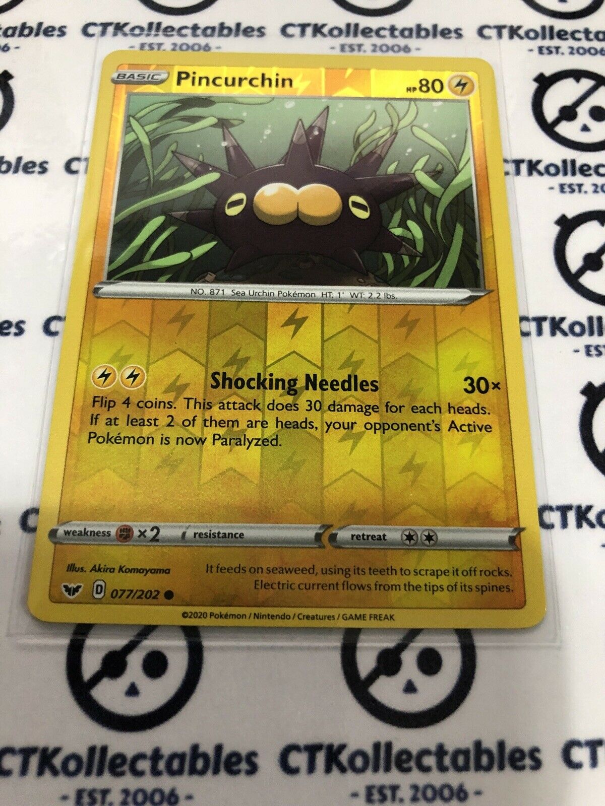 Pincurchin Reverse Holo #077/202 Common Pokémon Card Sword & Shield