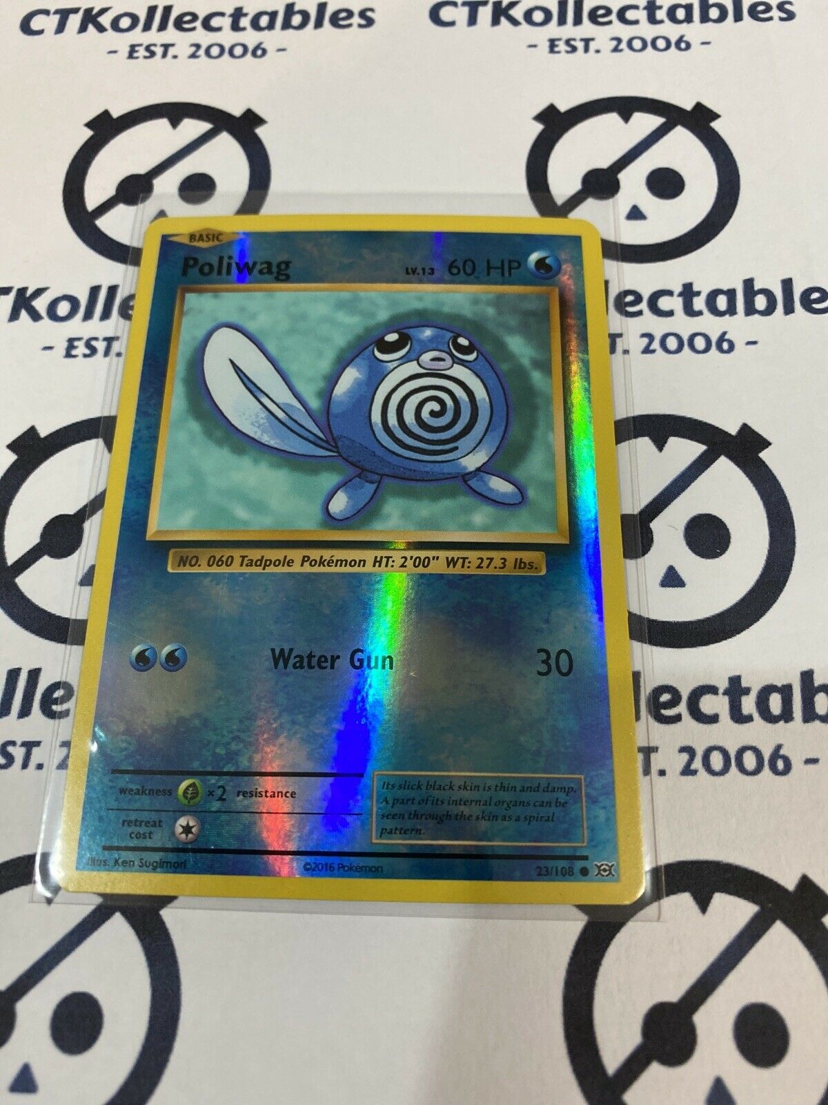 Poliwag Reverse Holo #23/108 Common Pokmon Card XY EVOLUTIONS   CTKollectables