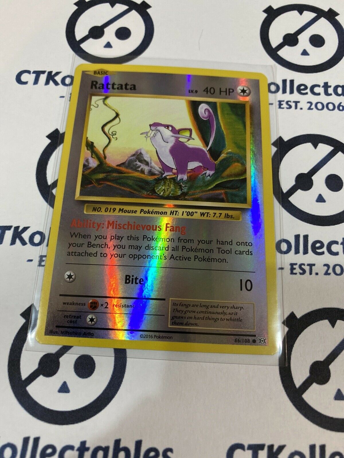 Rattata Reverse Holo #66/108 Common Pokémon Card XY EVOLUTIONS